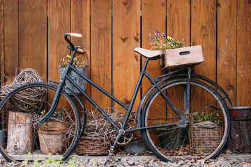 Vintage bicycle with upcycled wooden crate and potted plants against rustic wooden wall,...