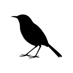 Nuthatch silhouette icon vector illustration design on white background.