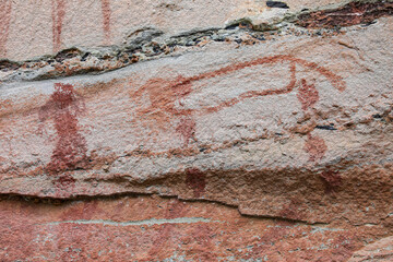 Pha Taem National Park, Ubon Ratchathani, Mekong River, see prehistoric paintings on the cliff, strangely shaped stone pillars and a small field of colorful flowers in late rainy season, early winter.