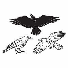 set of birds
