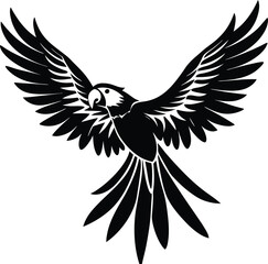 Fototapeta premium Adobe Illustrator Artwork