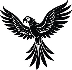 Obraz premium Adobe Illustrator Artwork