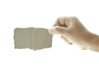 Female hand holding Shredded paper isolated on white background.