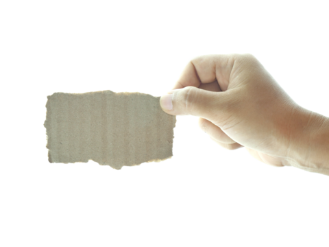 Female hand holding Shredded paper isolated on white background.