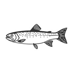 Fish Vector illustration