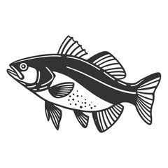 Fish Vector illustration