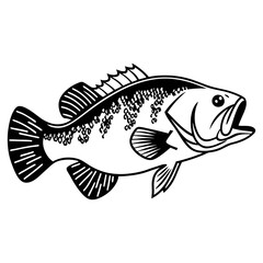 Fish Vector illustration