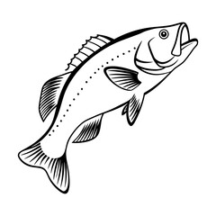 Fish Vector illustration