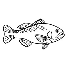 Fish Vector illustration