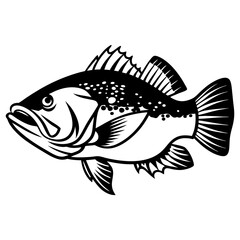 Fish Vector illustration