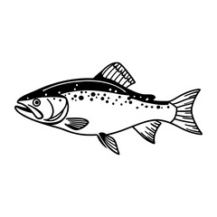 Fish Vector illustration
