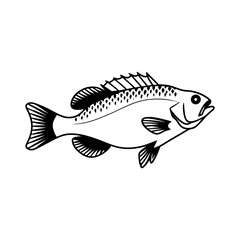 Fish Vector illustration