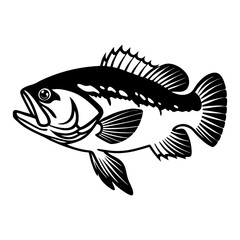 Fish Vector illustration