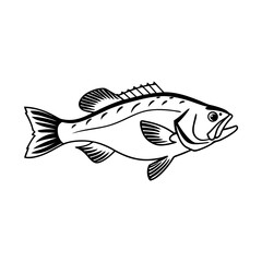 Fish Vector illustration
