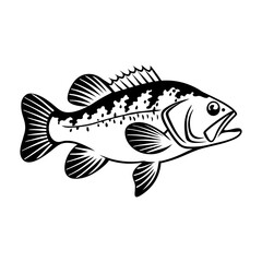Fish Vector illustration