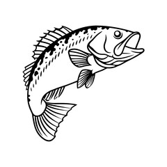 Fish Vector illustration