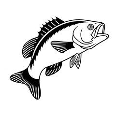 Fish Vector illustration