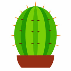 cactus isolated on white background