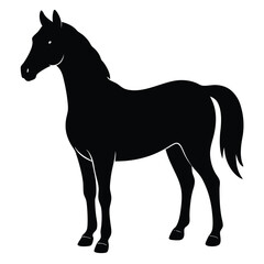 A simple standing horse silhouette with minimal details, vector art.