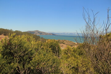 Alternative view of the san francisco bay area