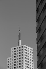 Fototapeta premium Top of the tower in San Francisco