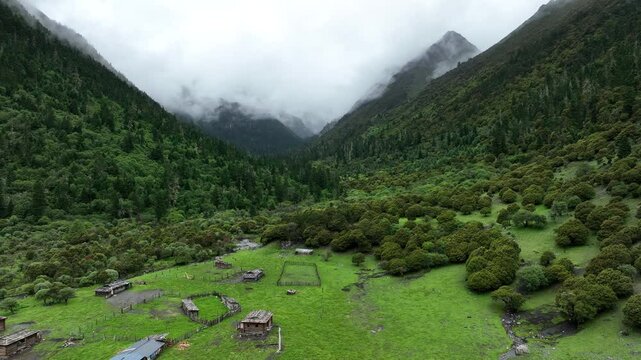 Aerial footage of beautiful high altitude forest mountain landscape