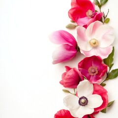 Fototapeta premium Beautiful white and pink orchids blooming on a black background