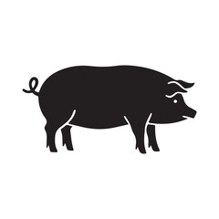 pig on a white background