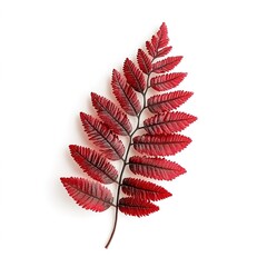 Ruby Fern Brush &ndash; Elegant and Detailed Digital Brush for Art and Design, Lush Fern Texture in Rich Ruby Red Color