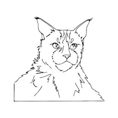Vector illustration Contouring Portrait of pet's.. Cute animals. Coloring portrait.