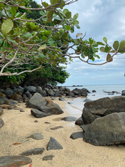Paradise, picturesque, deserted beach in the morning of VTAIland. Travel, relaxation, wintering on the island. Sand and tropical trees by the sea