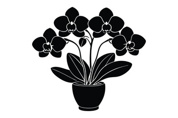 Orchids in a flower tab vector style silhouette.eps