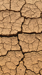 dry cracked earth texture, professional photography, with white tones