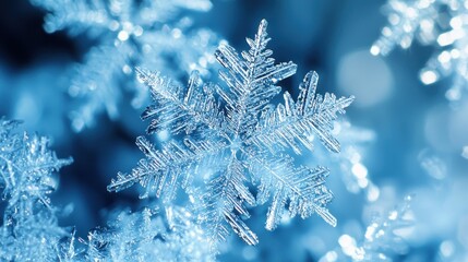 Stunning Macro Photography of a Single Intricate Snowflake