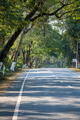 Obraz premium Empty NH 37 road inside the Kaziranga National Park 7 vertical photo