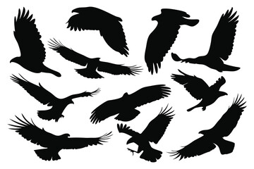 Different Eagle Poses silhouettes set isolated flat vector illustration on white background