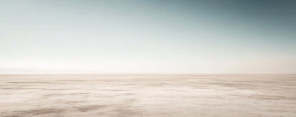 Vast salt flat stretching to the horizon under pale sky