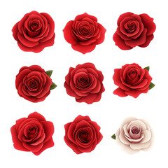 Fototapeta premium set of roses,flat style