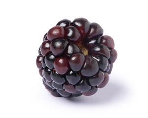 Blackberry, Red blackberry isolated on white