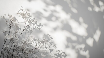 Monochromatic Floral Shadow Play: A Study in Light and Shadow