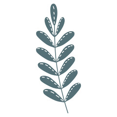 dark green leaf on transparent