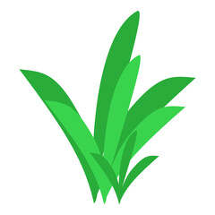 Grass clump on transparent background