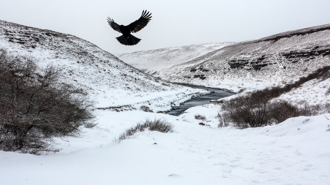 Snowy landscape with flying crow. - Powered by Adobe