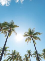 Sun-drenched coconut palms against a vibrant blue sky, leaves, tropical, holiday