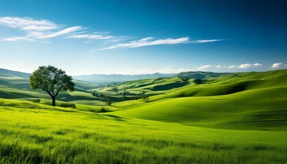 Obraz premium landscape with grass and sky