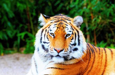 Storm and tidal wave on the beach on Sylt