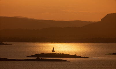 Sailboat in the golden evening sun. Oslofjord