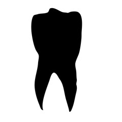 Human teeth vector