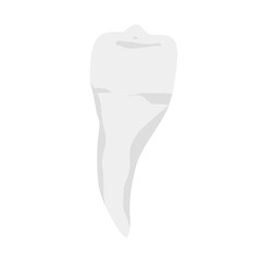 Human teeth vector