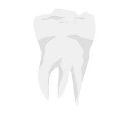 Human teeth vector